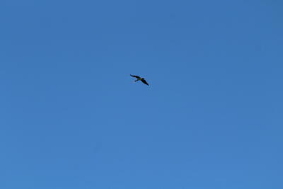 2024:08:13 09:03:39